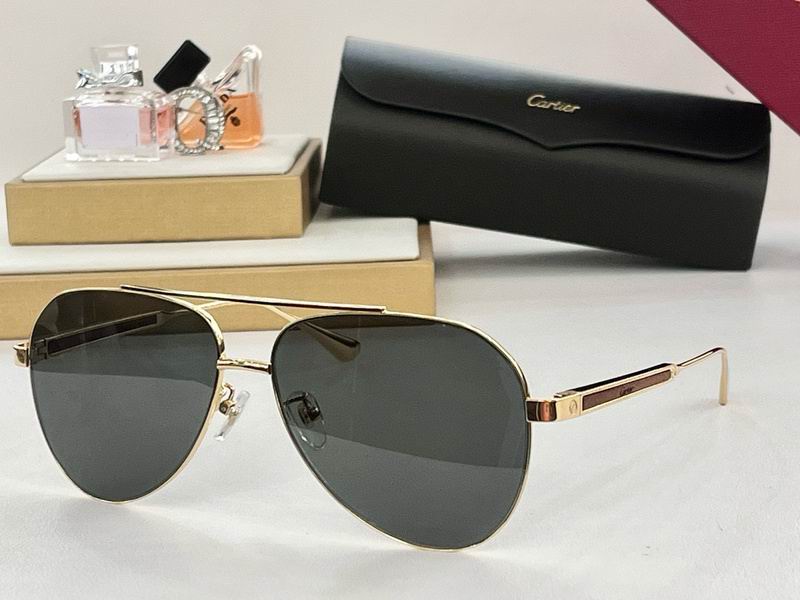 Cartier Glasses smx (537)